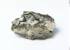 Foto von Silber (NHMW-MIN-Ai499)